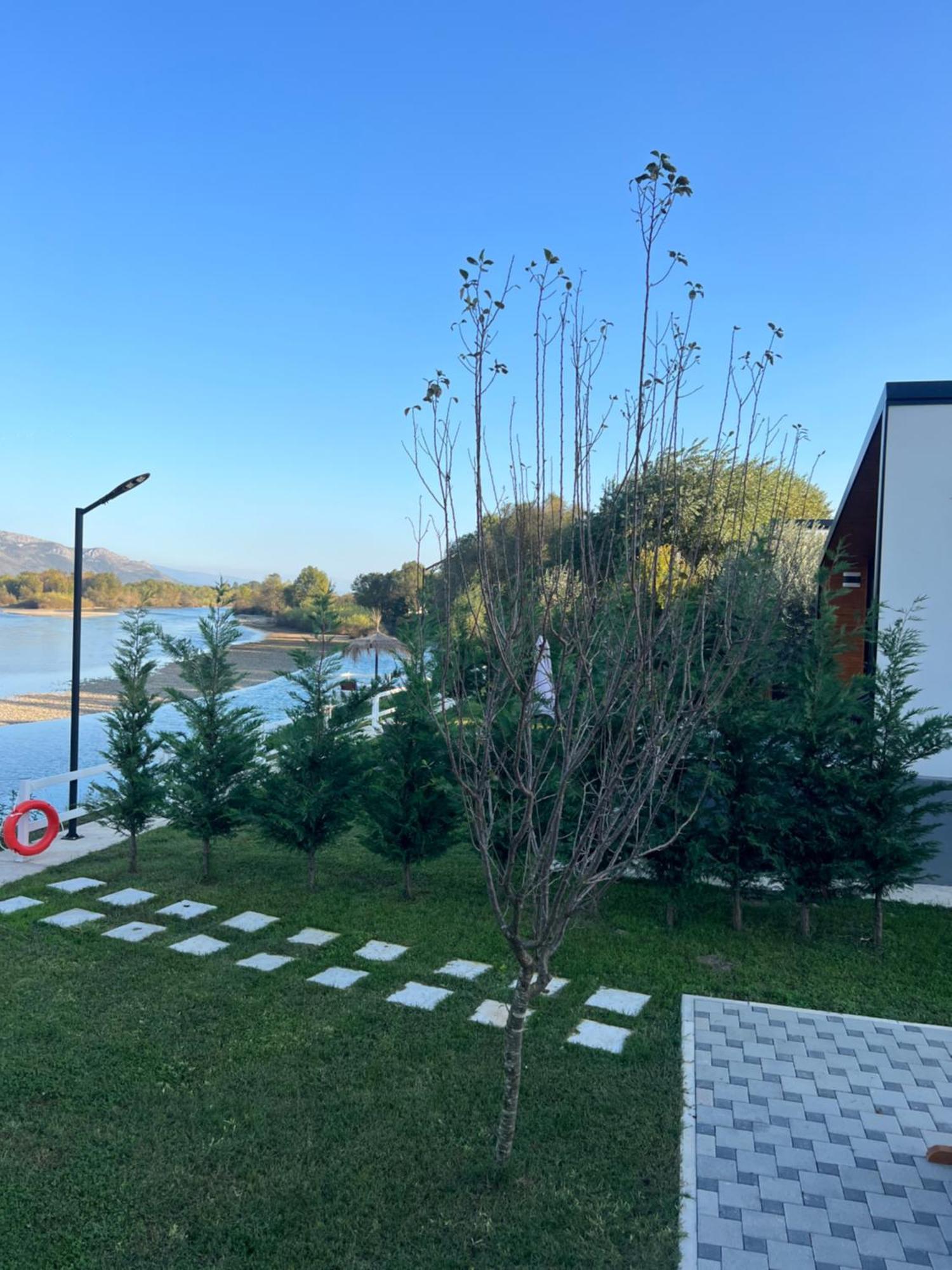 Villa Teverde Shkoder Ngoại thất bức ảnh